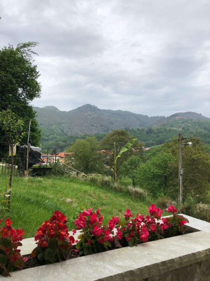 Alojamiento Rural Cosorios Hotel Cangas de Onis Exterior photo